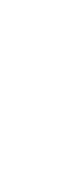 Vector 3