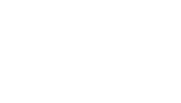 Vector 4