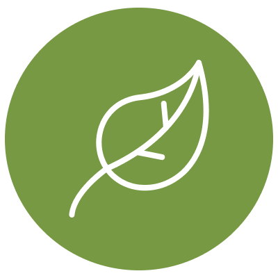 Dribbble1